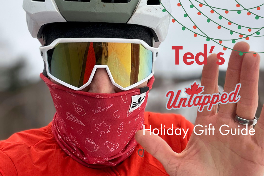 holiday gift guide